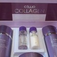Bộ mỹ phẩm dưỡng da ngăn lão hóa Collagen Cellio