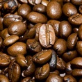 Newlinkcaffe đẳng cấp Espresso Cung Cấp Caffe