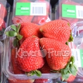 Dâu tây Úc tại Klever Fruits