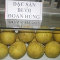 Bưởi Đoan Hùng chính hãng, chọn lọc đây ạ