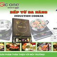 Bếp từ Magic One Việt Nam MG36 giá rẻ
