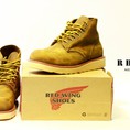 RHINO SHOP GIẢM GIÁ 10% giầy Red Wing, Timberland, Caterpillar....nhận dịp noel 2014