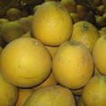 Bưởi Diễn chính gốc phục vụ Tết