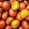 Chuyên bán buôn bán lẻ hạt dẻ Trùng khánh loại 1 thơm ngon và bùi
