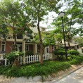 Bán biệt thự song lập Vườn Tùng khu đô thị Ecopark