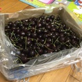Nho đen không hạt Mỹ Cherry Úc bưởi Diễn đã về
