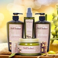 Giá rẻ nhất Argan softseduce, argan soft seduce siêu mượt dầu gội mỹ phâm bán buôn bán lẻ phân phối cung cấp đổ sỉ