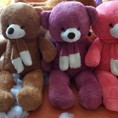 Gấu bông cho ngày Valentine thêm ấm áp :
