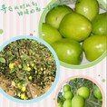 TÁO ta, Ngọt,to, Hái tại vườn Giá cực yêu :X