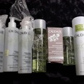 Dược mỹ phẩm CAUDALIE order từ Pháp giá tốt