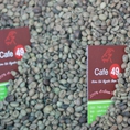 CAF49.NET Cung Cấp Cafe Nhân, Cafe Sống Cho Khách Tự Rang Xay Số Lượng Từ 1kg 1000Kg