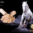 Viên Uống Nhau Thai Ngựa Đua Nhật Bản Giải Pháp Cho Sức Khoẻ Sắc Đẹp Của Các Ngôi Sao Thế Giới