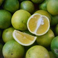 Quýt đường Miền Nam 65k/kg