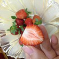Hoa quảcác loại