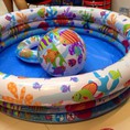 Giảm giá phao 2016: Bán buôn/lẻ bể bơi mini intex, summer sea, swimming pool,... giá rẻ nhất nhì thị trường