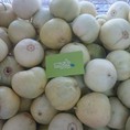 Dưa lê hữu cơ, Cam Xoàn Đồng Tháp, Táo xanh Ninh Thuận, Bơ sáp Đắc Lắc Michi Mart thực phẩm sạch