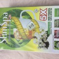 SlimSpa Slim Detox Tea Jasmine Trà thanh lọc và giảm cân MADE IN USA