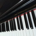 Bán piano điện nhập trực tiếp tại nhật giá rẻ
