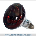 Bóng đèn hồng ngoại Warri