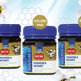 Mật ong Manuka Health và những điều tuyệt vời nhất