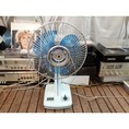 Bán buôn bán lẻ quạt nội địa Nhât, điện 100v, siêu rẻ, mới 95%, siêu tiết kiệm điện, bền, quạt chạy êm, mẫu mã đa dạng