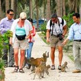 Tour Suối Hoa Lan Đảo Khỉ Nha Trang Hằng Ngày