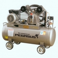 Máy nén khí Pegasus TM V 0.25/8 100L