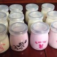 Bộ 12 hũ thủy tinh làm sữa chua, dầu dừa