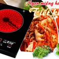 Bếp Nướng Hồng Ngoại Hải Phòng