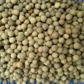 Quả óc chó Điện Biên, thực phẩm giàu Omega 3
