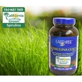 Tảo Mặt Trời Spirulina Earthrise Gold Plus bồi bổ cơ thể, tăng cường sinh lý, thải độc, chống lão hóa