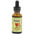 ChildLife Essentials Echinacea bí quyết chăm con khỏe mạnh từ Mỹ