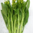 Bán hạt giống Cải Ngồng tại Hà Nội