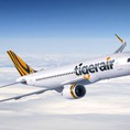 Du Ngoạn Đất Nước Singapore Cực Rẻ Cùng Tiger Air