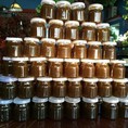 Cao bí đao Phương Trà