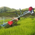 Đại lý bán máy cắt cỏ giá tốt nhất chất l ượng tốt nhất tại Hà nội