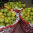 Ủng hộ em với ạ