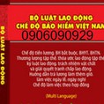 Sách bộ luật lao động 2015 anh ,hoa,việt, hàn, nhật