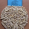 Vinapro Cung cấp hạt sen trắng chất lượng tốt , giá cả hợp lý