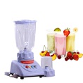Máy xay sinh tố BR 312 màu trắng sữa