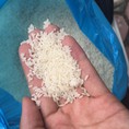 Gạo tám Giao Thủy Nam Định 16.000/kg,thơm ngon dẻo ai quan tâm nào