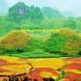 Tour du lịch hà giang mùa lúa chín