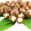 Quả Mắc CA Macadamia