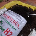 Cung cấp đất mùn dừa trồng rau H2 20dm3