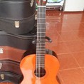 Guitar Aria AC 40 Nhật