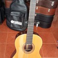 Guitar Matsouka M 50 Nhật