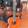 Guitar Cervantes ML 300 Nhật