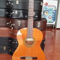 Guitar Jose Antonio 6C Tây Ban Nha