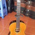 Guitar Takamine No 30 Nhật