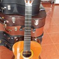 Guitar Takamine No 5 3
